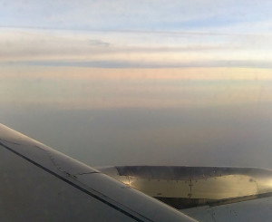 The Lovely Row 13