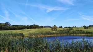 Seafield Hotel & Spa