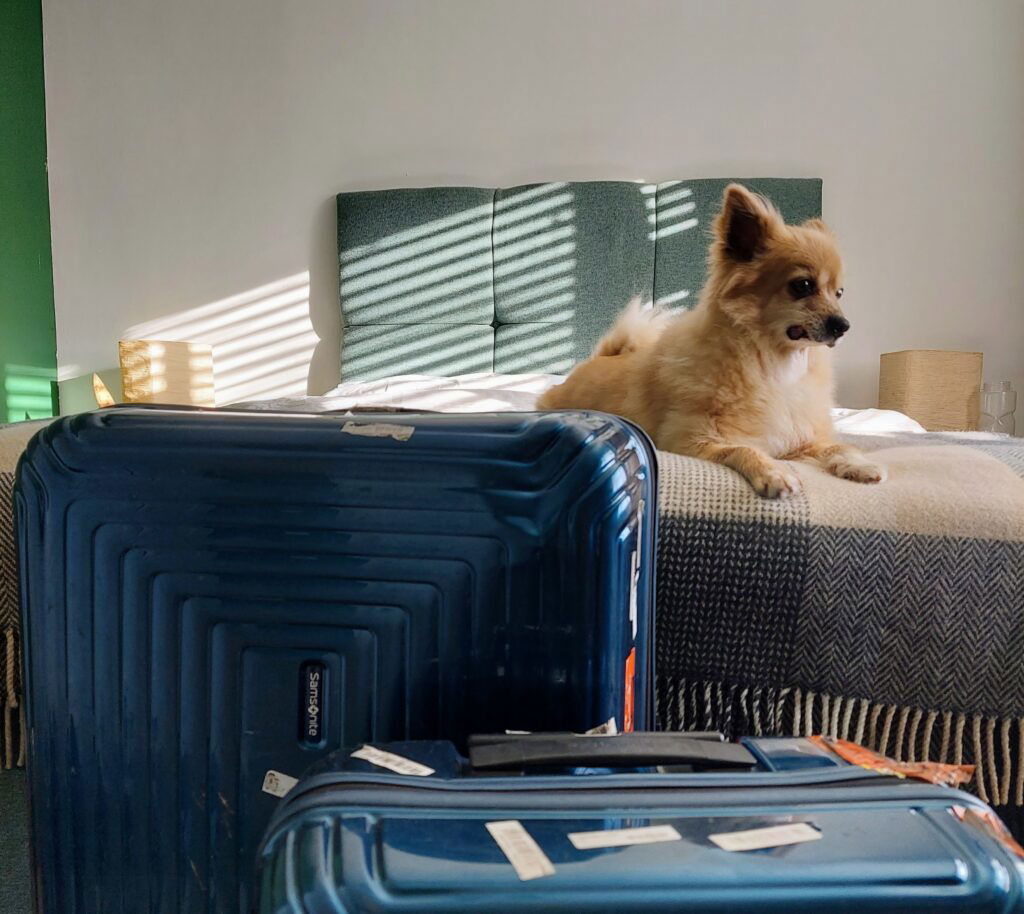 Suitcases being packed for travel.