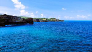 Our Bali guide experience