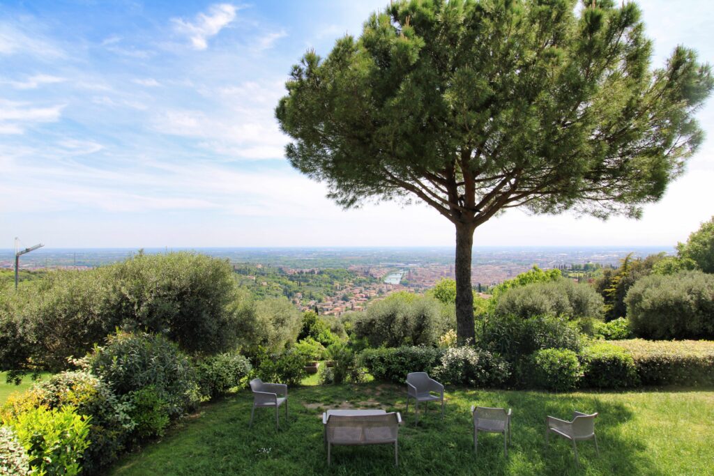 Verona from the hills!